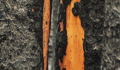 Fort Lauderdale Fire Damage: Why Soot Is a Serious Problem
