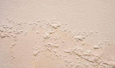 Water Mitigation for Tile Floors in Buckhead Homes