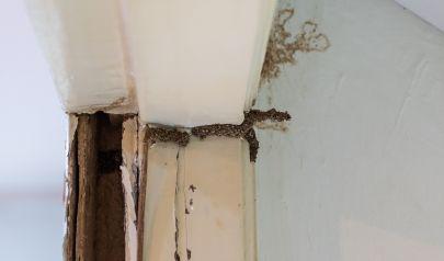 The Hidden Moisture Problem Many Fort Lauderdale Homeowners Miss