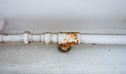 When Water Damage in Bellevue Homes Comes From the Weather, Not the Plumbing