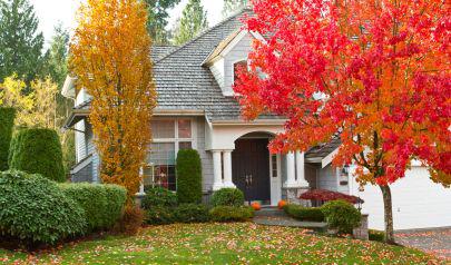 Avoid Water Damage with these Fall Maintenance Tips