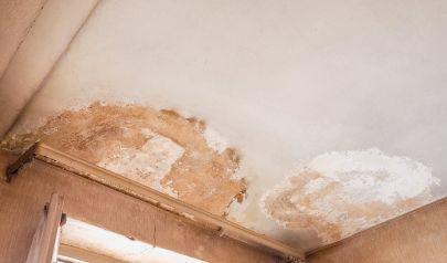 What Every Homeowner Should Know About Fall and Indoor Air Quality