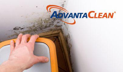 Black Dots on Bathroom Walls or Ceilings – What to Do