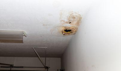 Effective Drying of Cartersville Homes Is Essential for Water Damage Restoration