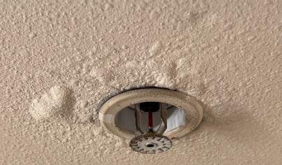 Red Clay Shoes, Wet Carpet Blues – Water Extraction for Flowery Branch Homes
