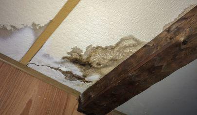 The Secret to Saving Your Westlake Home with Water Mitigation and Material Preservation
