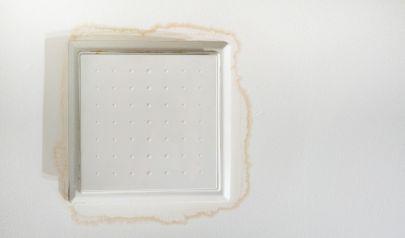 Skilled Mold Removal in Cartersville Calls for Safety First