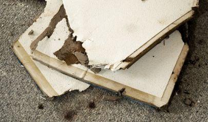Beyond the Waterline: What Truly Lingers in Cartersville Homes After a Flood