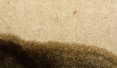 Flood Damage Cleanup: When Shoreline Carpet Can Be Saved