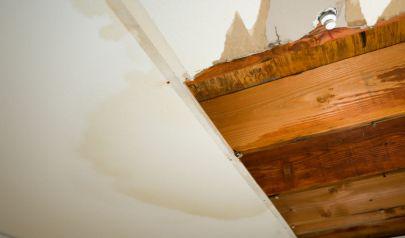 Spotting Hidden Mold with a Mold Inspection for Homes Near Marietta