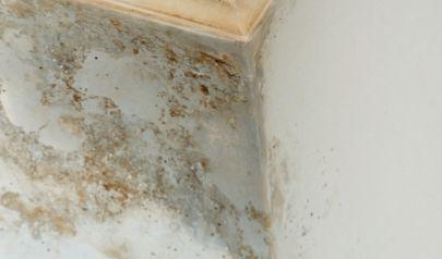Crawl Space Mold in Marietta, Georgia and What Homeowners Need to Understand it
