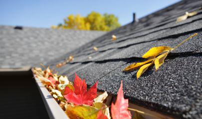 How to Protect Your Home from Moisture During Fall