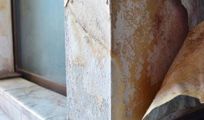 Protecting Homes with Mold Prevention and Pro Remediation