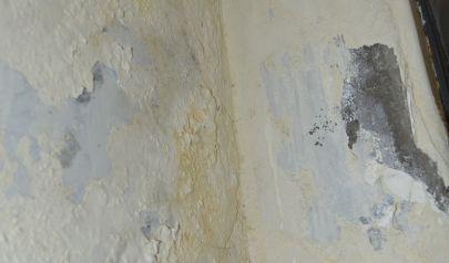Water Damage Repairs That Protect Your Cooper City Home