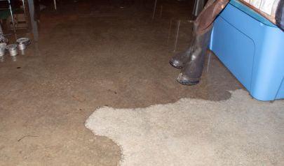 Sump Pump Failure Cleanup in Hamilton: Your Guide to Preventing Flood Damage and Mold
