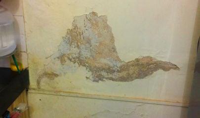 Water Shows Up Where It Shouldn’t: What Bellevue Homes Reveal After a Leak