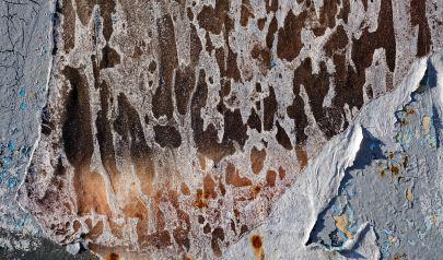 Seasons and Determine the Need for Mold Inspections in Deerfield Beach