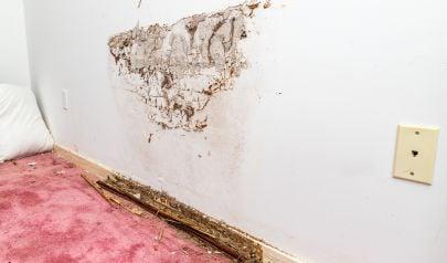 Buckhead Water Mitigation Strategies Start with Appliance Awareness