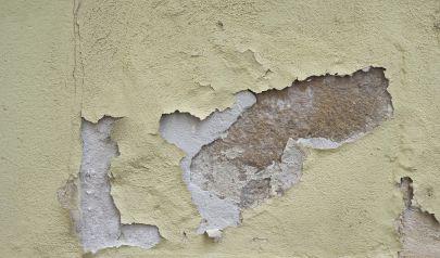 Eco-Friendly Mold Remediation in Dunwoody: A Safer Approach