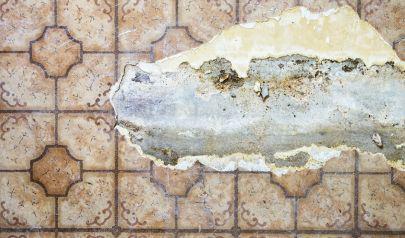 Water Woes in Cartersville? Get Fast, Expert Water Extraction!