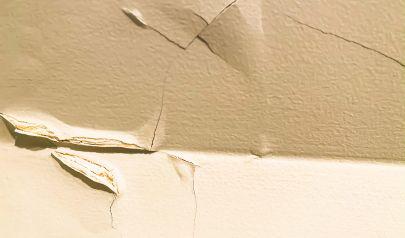 That Damp Spot on the Ceiling in Weston Might Be More Than You Think