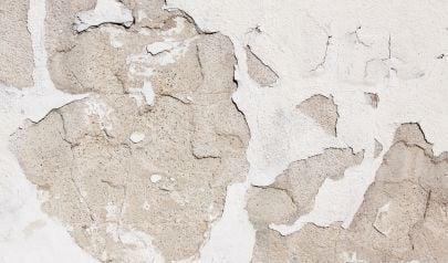 Why Fungicides Matter for Mold Removal in Shoreline