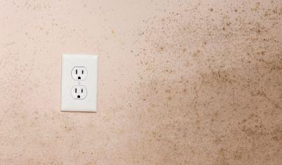 AdvantaClean of Marietta Offers Professional and Certified Mold Removal Services