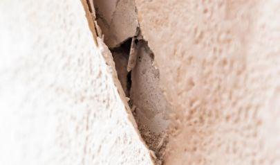 The Benefits of Mold Inspection Services in Peachtree Corners