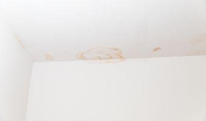 Buckhead, Georgia, Water Damage Restoration and Secondary Damage