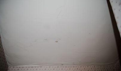 Water Under the House: What Kennesaw Homeowners With Crawl Spaces Should Know