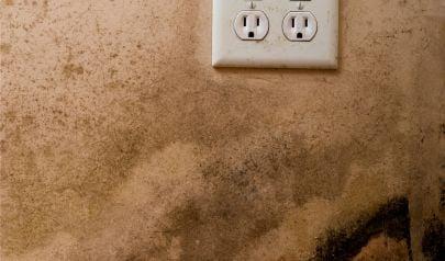 What We See Inside Kennesaw Crawlspaces: A Local Technician’s Perspective on Mold Problems