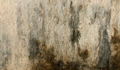 Water Damage Restoration for Upholstered Furniture