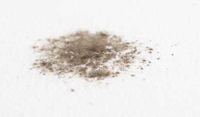 Mold Inspection in Marietta is a Smart Thing to Do Before the Holidays