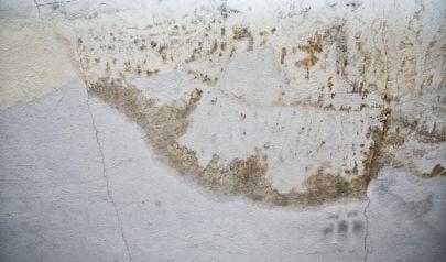 Mold Inspections for Hamilton, Ohio Homes Are Vital After Water Damage