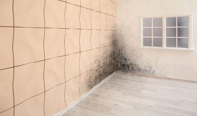 The Aftermath No One Talks About: Water Damage From an Upstairs Bathroom Leak in Dunwoody