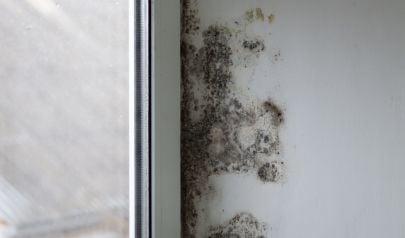 Water Damage Restoration in Fairfield, Ohio: From First Drop to Fully Restored