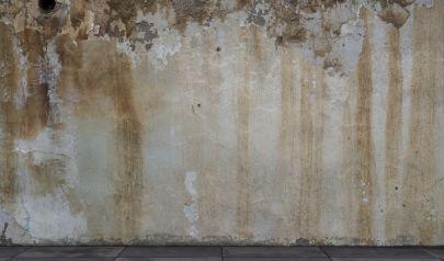 Why Fort Lauderdale Homeowners Should Take Mold Inspections Seriously After Heavy Rain