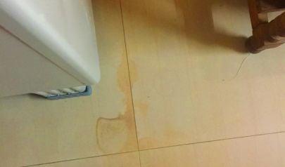 Understanding Water Migration: Why That Small Leak in Your Bellevue Home Is Moving