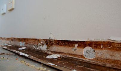 Dealing with Distress and Mold Inspections for Properties near Peachtree Corners