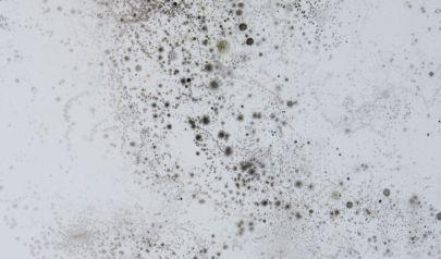 Why Basement Water Damage in Westlake Homes Often Begins After Heavy Lake Effect Storms