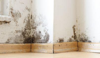 Moisture Migration Often Means Water Mitigation in Johns Creek