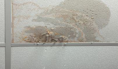 Fort Lauderdale Water Damage Solutions for Indoor Flooding