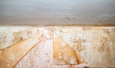 Mold Remediation Challenges on Johns Creek Properties: A Tale of Hidden Threats
