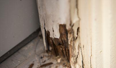 AdvantaClean Facilitates Fast Water Mitigation for Marietta Homes