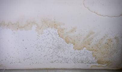 Understanding Water Damage Restoration Costs in Bellevue