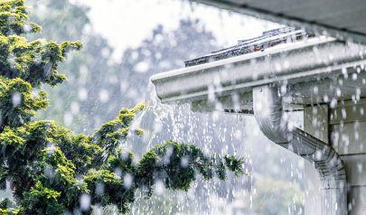Is Your Weston Home Moldy After the Storm? Get Remediation Help Now.