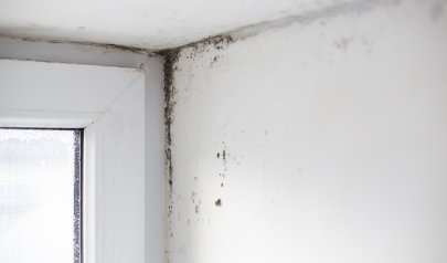 Battling Mold in Cold Weather: How to Protect Your Home from Winter's Hidden Threat