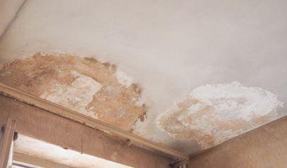 Saving Your Alpharetta Carpets: The Power of Water Extraction
