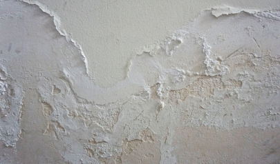 Professional Mold Remediation Services in Dunwoody: Ensure Effective Cleaning and Disinfection