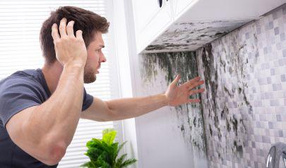 Mold Remediation in Dunwoody: A Comprehensive Guide
